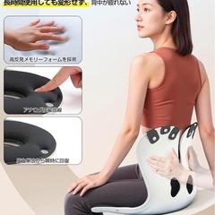【理学療法士推薦】新品　姿勢矯正 椅子 骨盤矯正 姿勢サポートチェア の画像