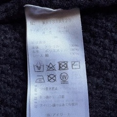 axesニットシャツの画像