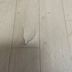 【交渉中】フロアマットの画像