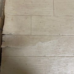 【交渉中】フロアマットの画像