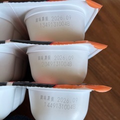 レトルトご飯120g×24セットの画像