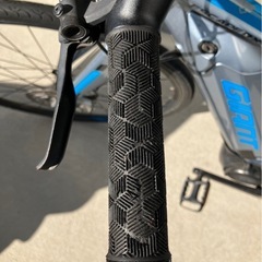 GIANT エスケープ ESCAPE RX-E+ XSの画像