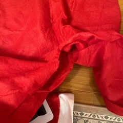 サンタコス　男女セットの画像