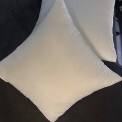 Hokushin(ホクシン) ヌードクッション 日本製 50×50 45×45 セット肉厚 東レFT綿使用の画像