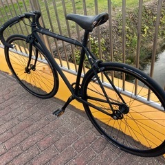 Fuji feather サイズ49　おまけ付き マットブラック　2020年モデル　　の画像