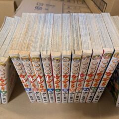 【全巻セット】金色のガッシュ!!全巻セットの画像