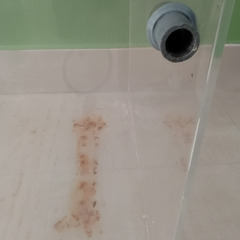 水槽（45×60×45）　金魚用の物品付きの画像