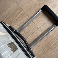 機内持ち込みサイズスーツケースの画像