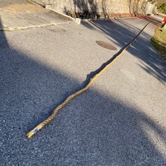 綱引きロープ　アシックス　36mの画像