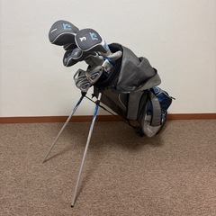 レディースゴルフクラブ　11本セット　LADY HAGEN　T3の画像