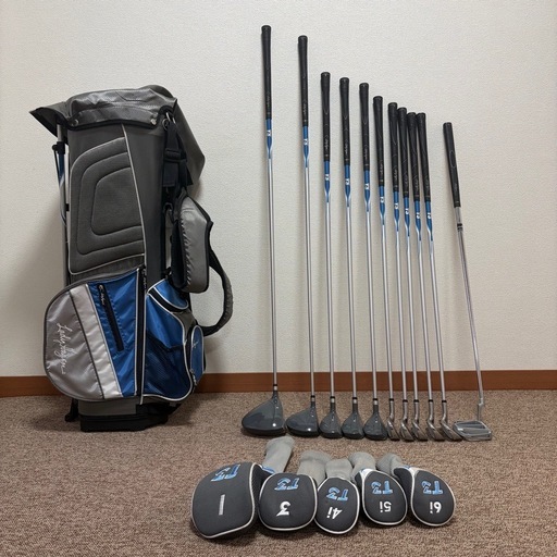 レディースゴルフクラブ　11本セット　LADY HAGEN　T3