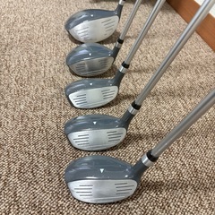 レディースゴルフクラブ　11本セット　LADY HAGEN　T3の画像