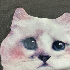 H&M 110 半袖猫Tシャツの画像