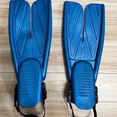 apollo bio fin proの画像