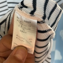 ボーダーTシャツの画像