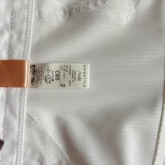 Triumph ブライダルインナー　ヘアアクセサリーセットの画像