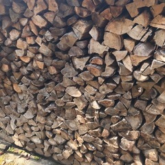 広葉樹　薪の画像