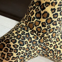 ヒョウ柄テトラ★大サイズ の画像