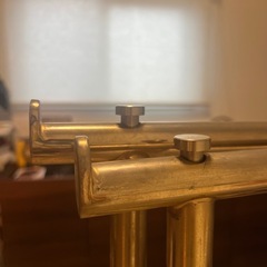 ゴールド調ハンガーラック（調整可能）の画像