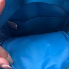 トーマスリュックの画像