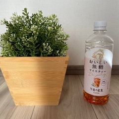 フェイクグリーンの画像