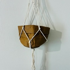 Standard Productペーパープランターポット　4点セットの画像