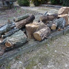 丸太 （引取限定です）の画像