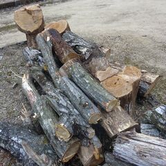 丸太 （引取限定です）の画像