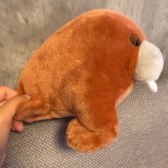 セイウチ ぬいぐるみ 水族館の画像