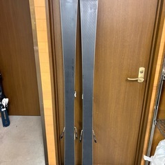 フォルクル レースタイガー  163cmの画像