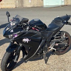 YAMAHA YZF-R25 250ccの画像