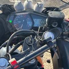 YAMAHA YZF-R25 250ccの画像