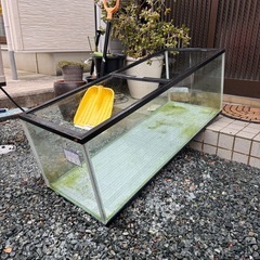 120センチ水槽の画像