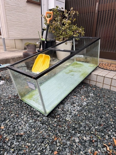 120センチ水槽