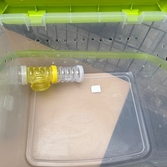 ハムスター手作りゲージの画像