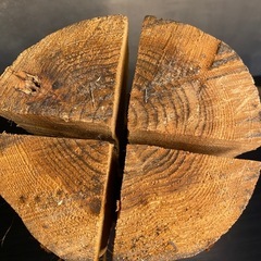 13.14日優先　スウェーディッシュトーチの画像