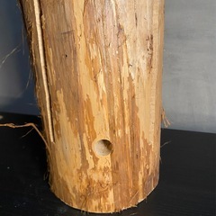 13.14日優先　スウェーディッシュトーチの画像