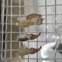 mofusand えびにゃん　筆箱の画像