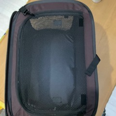 Richellのドライブペットゲージの画像