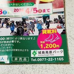 城島高原パーク スケート 入園ご招待券★チケットの画像