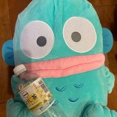 サンリオ　ハンギョドン　ぬいぐるみ3体の画像