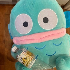 サンリオ　ハンギョドン　ぬいぐるみ3体の画像