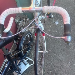 プリンストンマウンテン、自転車の画像