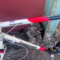 プリンストンマウンテン、自転車の画像