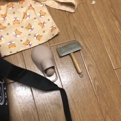 キャリーバックと付属品セットの画像