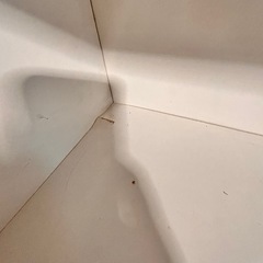 カラーボックス白の画像