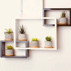 【新品未使用品】ポット　2号鉢　6点セット　多肉植物　サボテン　セメント　受け皿付の画像