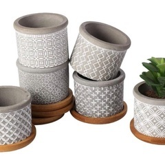 【新品未使用品】ポット　2号鉢　6点セット　多肉植物　サボテン　セメント　受け皿付の画像