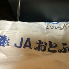 令和6年　北海道十勝産 小豆　特撰　500gの画像