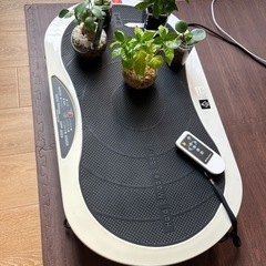 ブルブル振動マシーンの画像